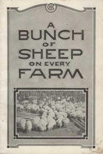 Image for A Bunch of Sheep on Every Farm