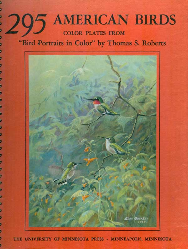Image for 295 American Birds: Ninety - Two Color Plates from Bird Portraits in Color