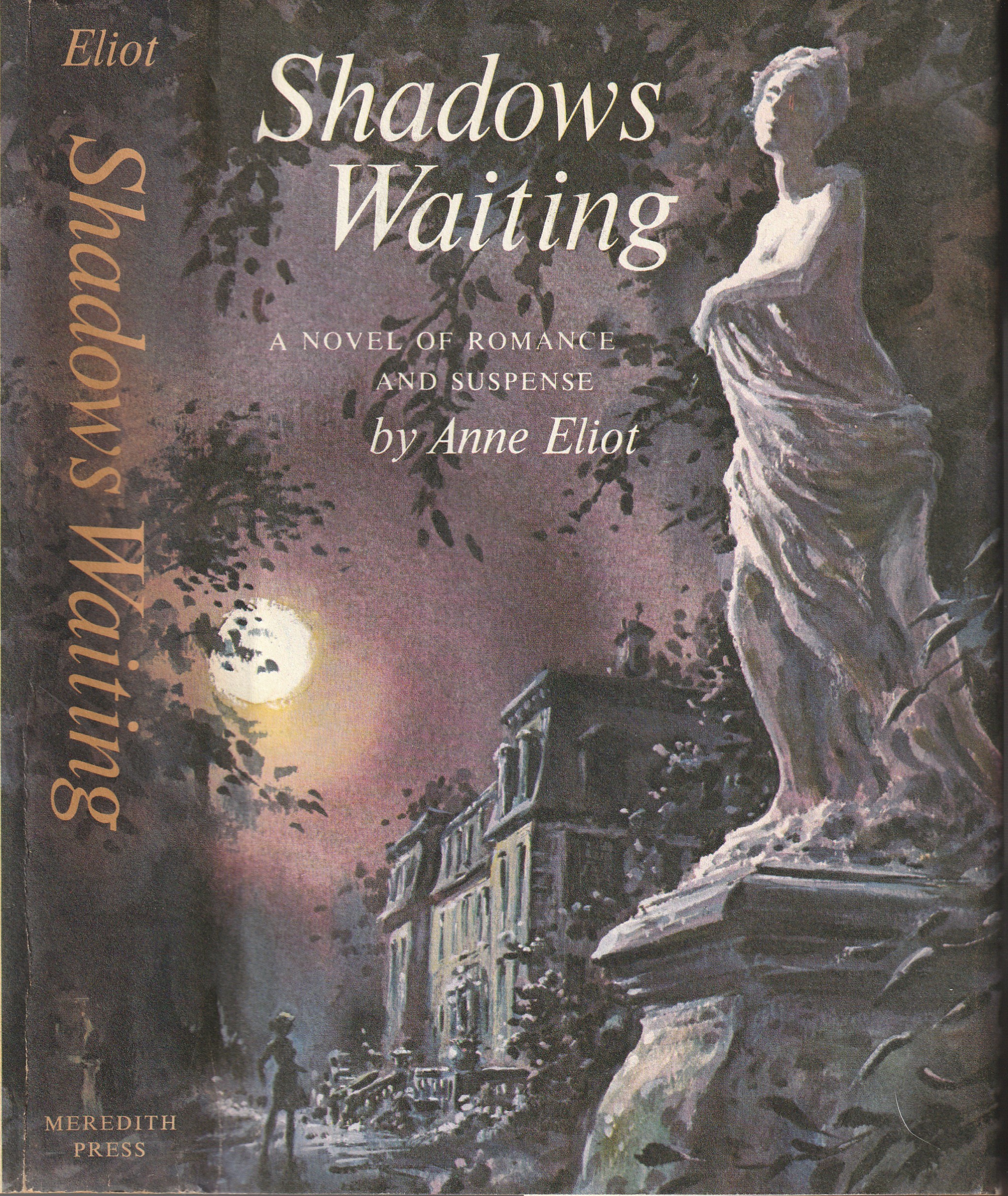 Image for Shadows Waiting