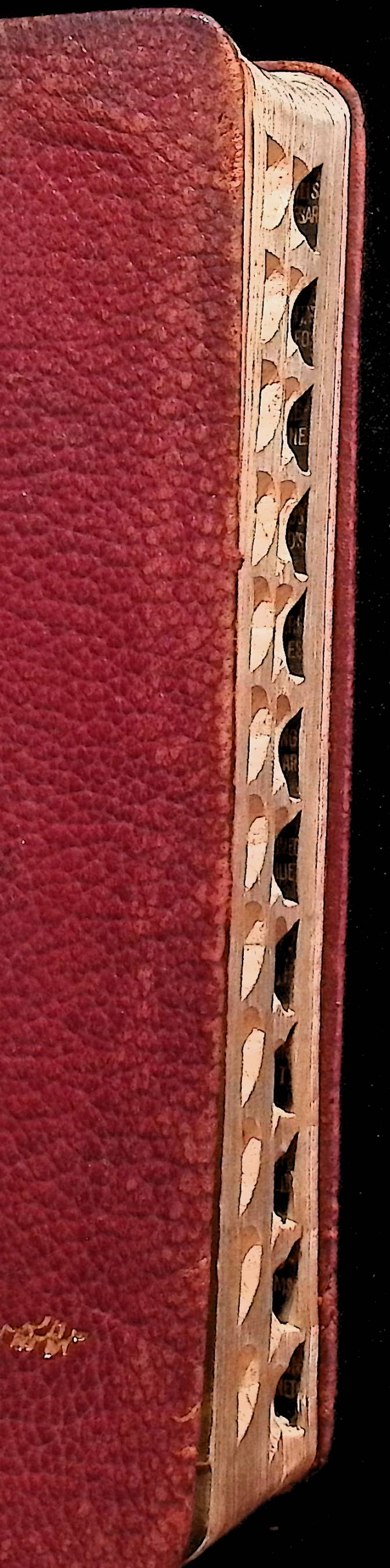 The Complete Works of William Shakespeare with an Essay on Shakespeare and Bacon by Sir Henry Irving