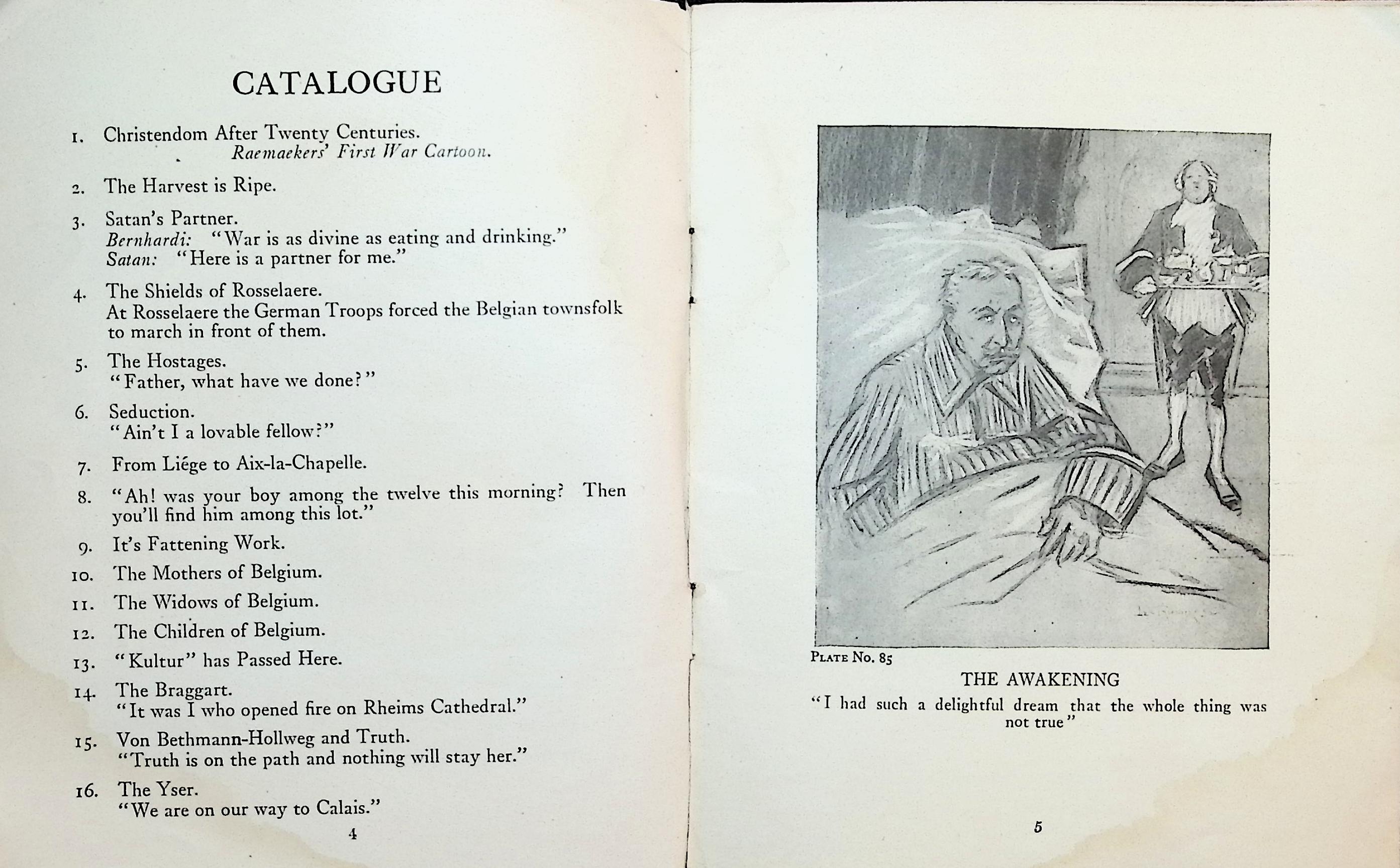 The The War Cartoons of Louis Raemaekers: A Catalogue Containing Some Miniature Illustrations