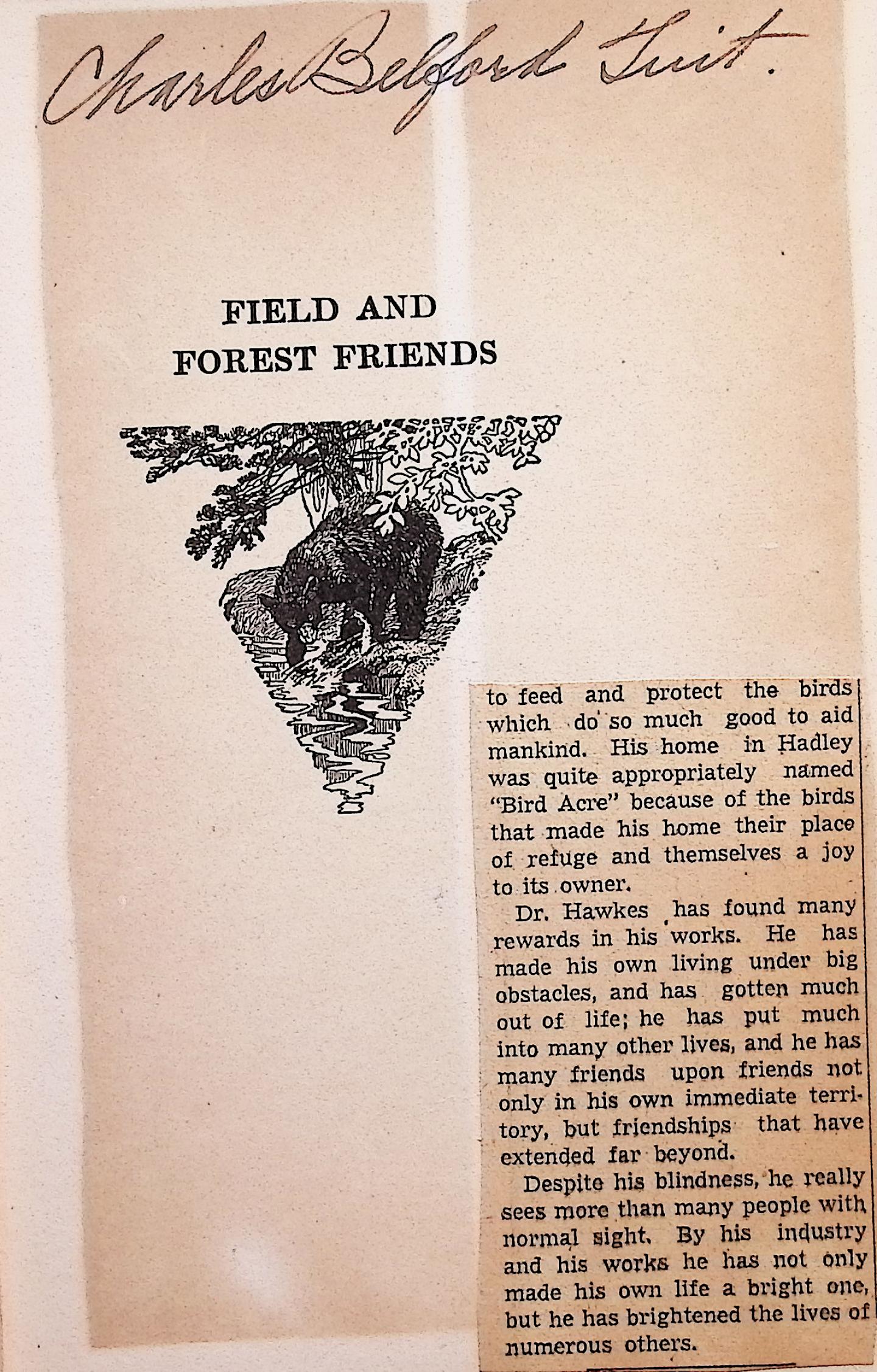 Field and Forest Friends: A Bou's World and How He Discovered It